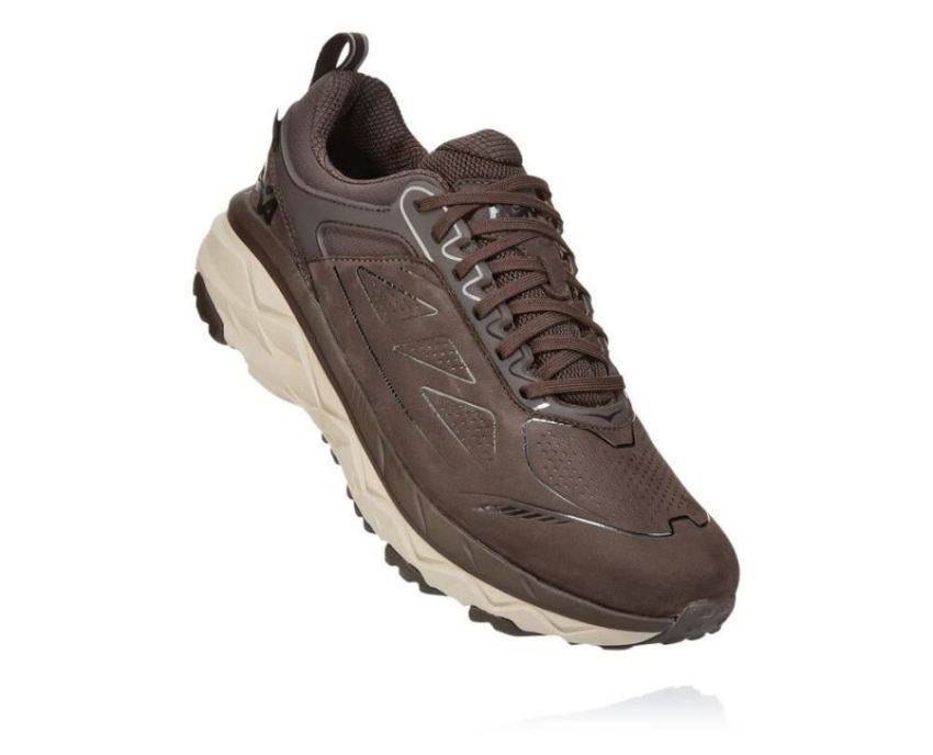 HOKA ONE ONE Challenger Low GORE-TEX for Men Demitasse - Click Image to Close