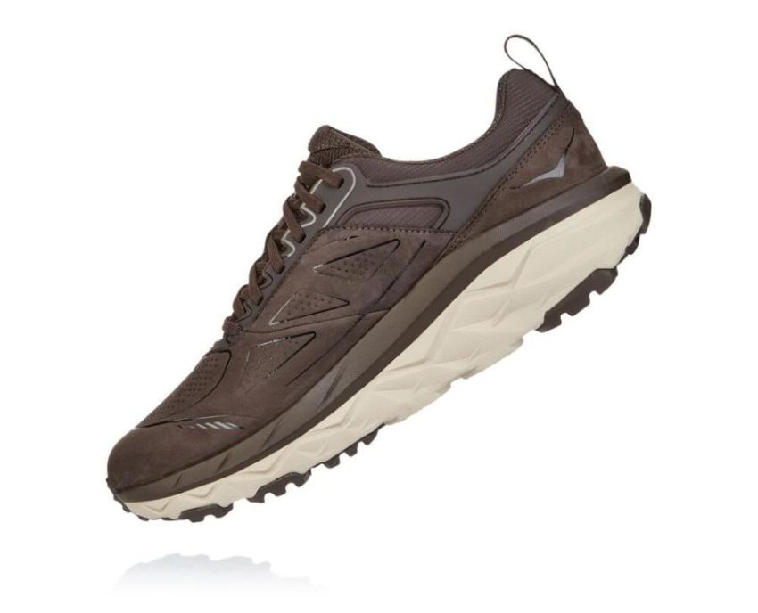 HOKA ONE ONE Challenger Low GORE-TEX for Men Demitasse